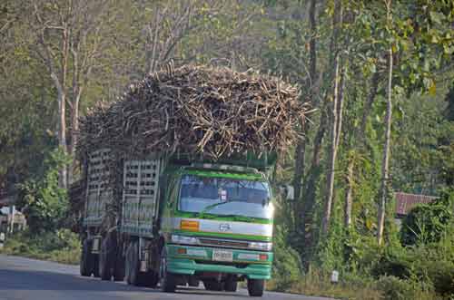 sugar cane on truck-AsiaPhotoStock