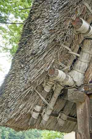 thatched roof-AsiaPhotoStock