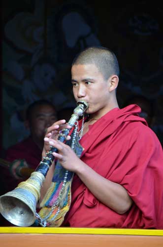 tibetan horn-AsiaPhotoStock
