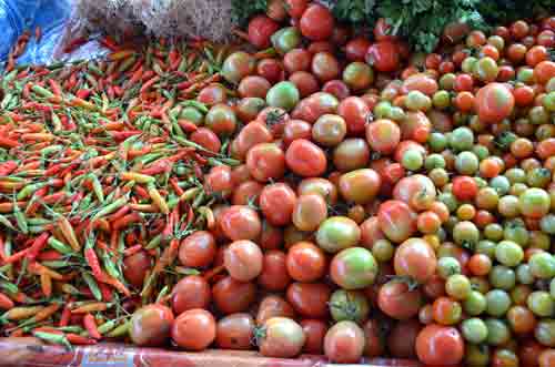 tomatoes and chillis-AsiaPhotoStock