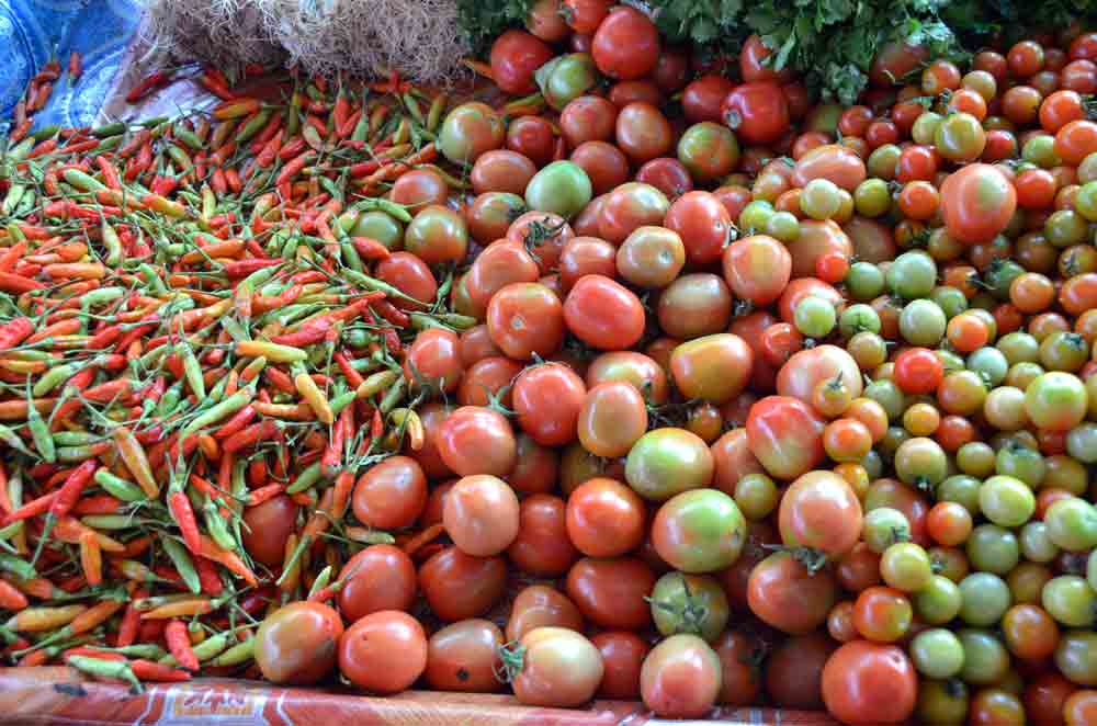 tomatoes and chillis-AsiaPhotoStock