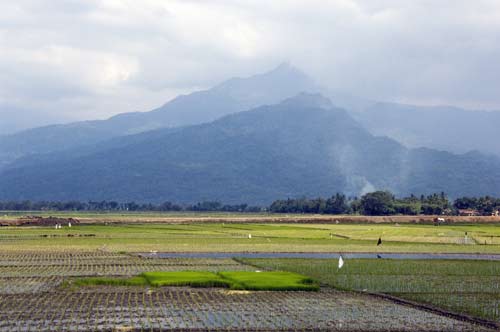 rice and mountains-AsiaPhotoStock